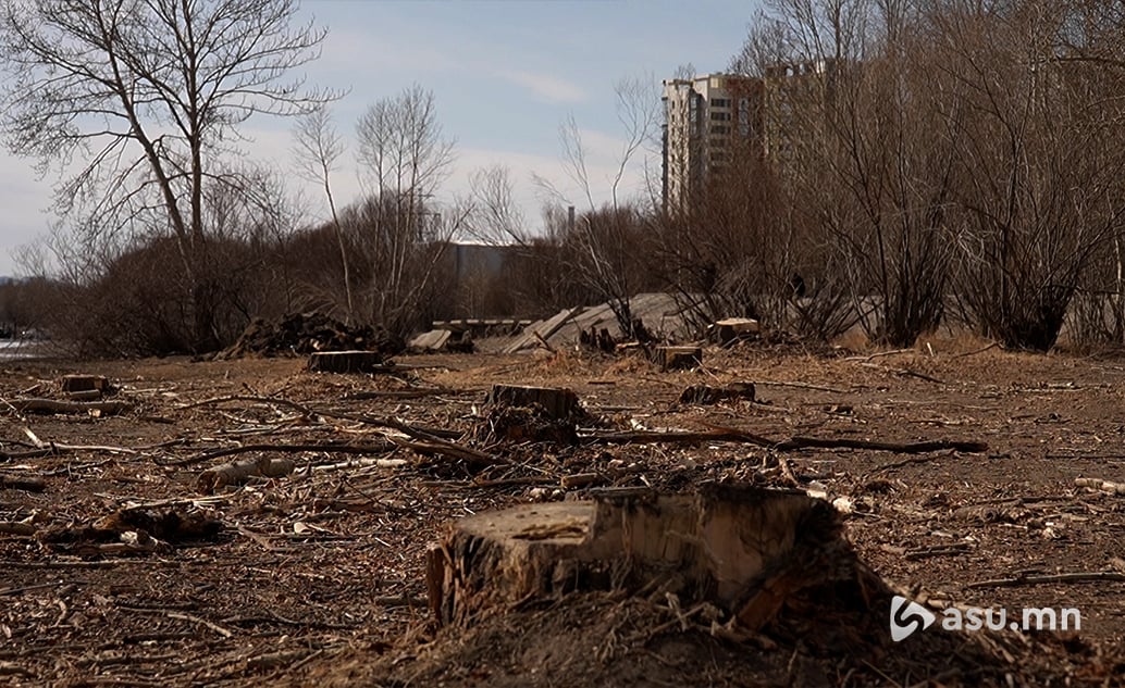 Онцлохын доод талд